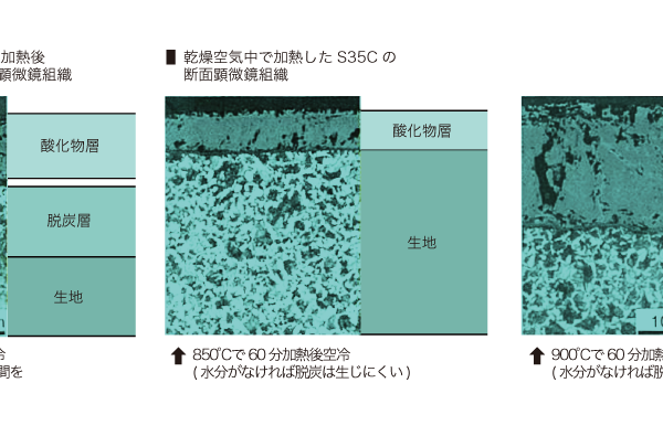 Cross-sectional microscopic microstructure of carbon steel heated in air