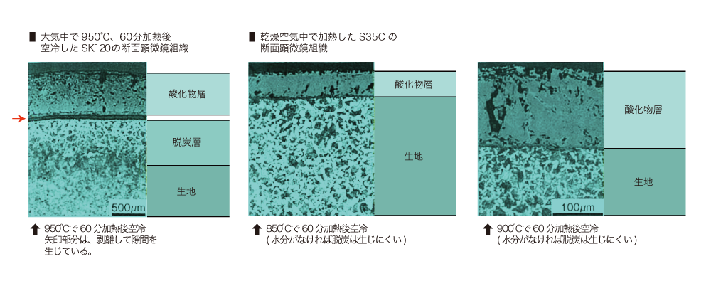 Cross-sectional microscopic microstructure of carbon steel heated in air